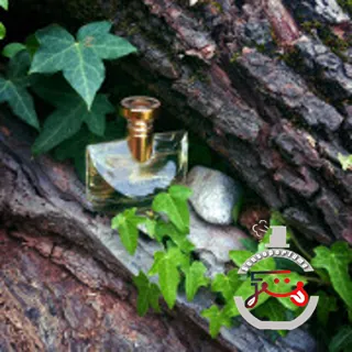 Bvlgari Pour Femme Bvlgari